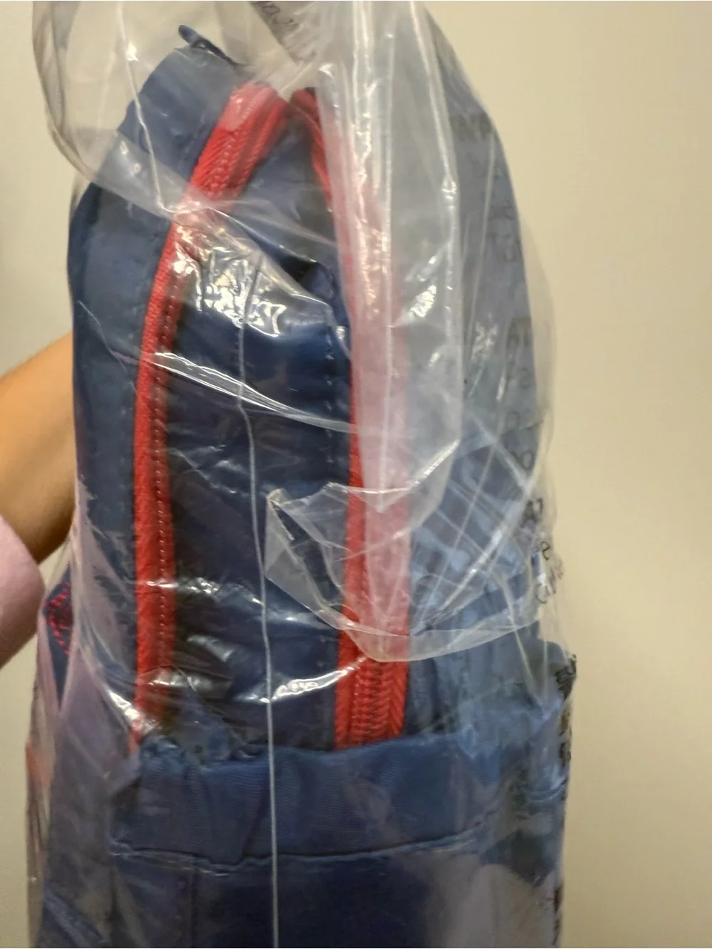 Disney Norway Blue Mini lug Backpack with Red Accent